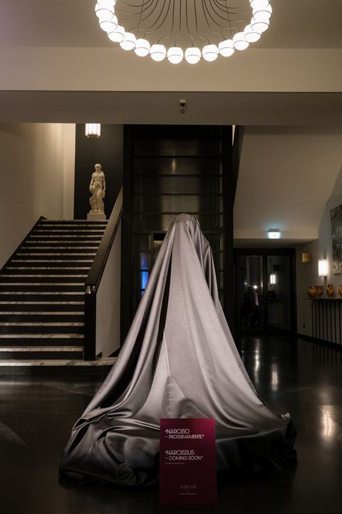 Narciso di Nello Petrucci a Habita79 — foto 7