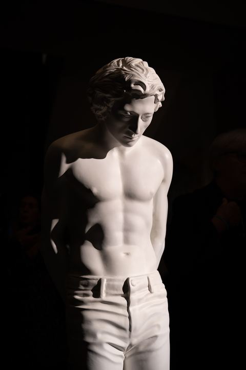 Narciso di Nello Petrucci a Habita79 — foto 73